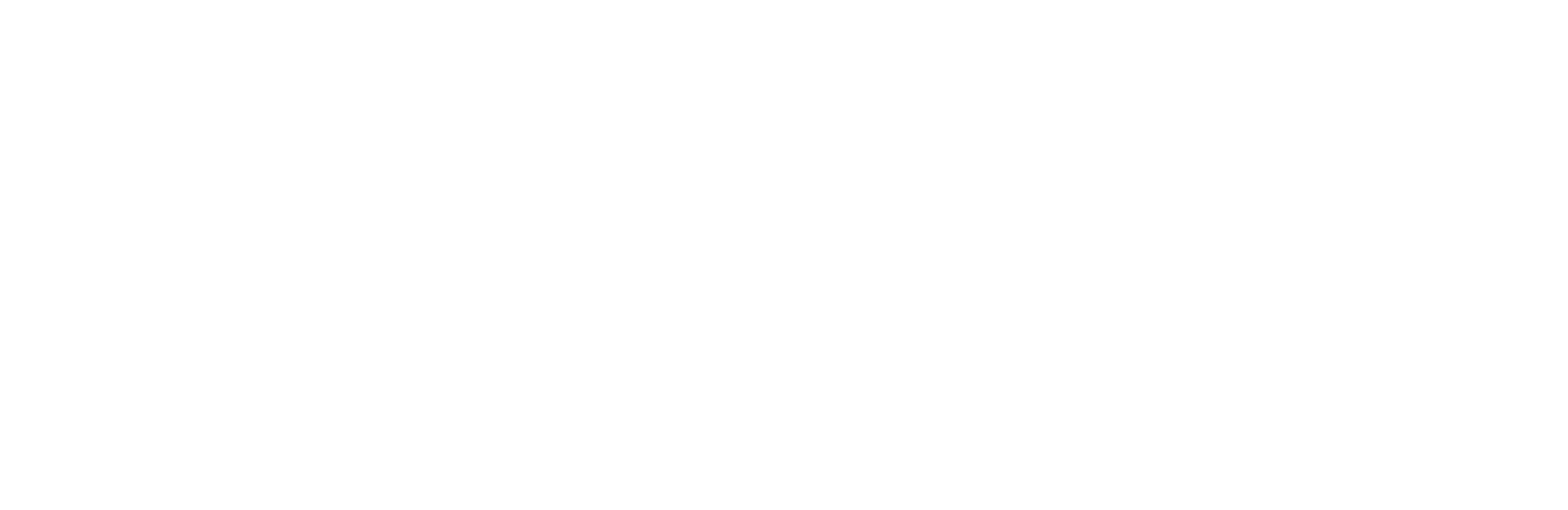 bvoip