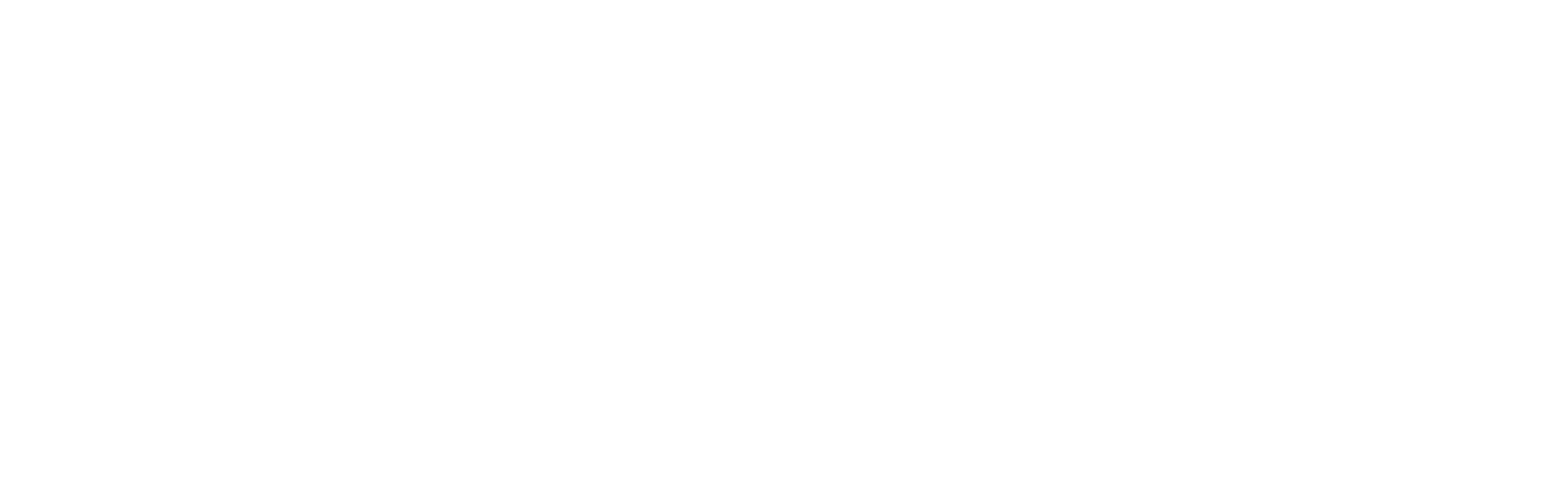 Zorus